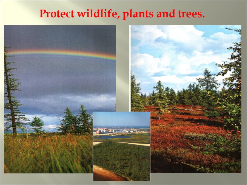 Protect wildlife, plants and trees.